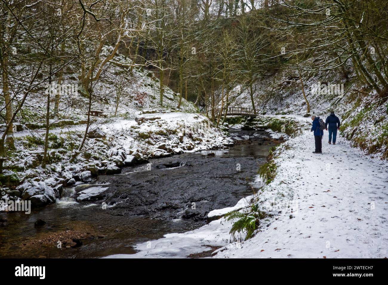 Camminando lungo Hardraw Beck in una mattina nevosa a dicembre. Foto Stock