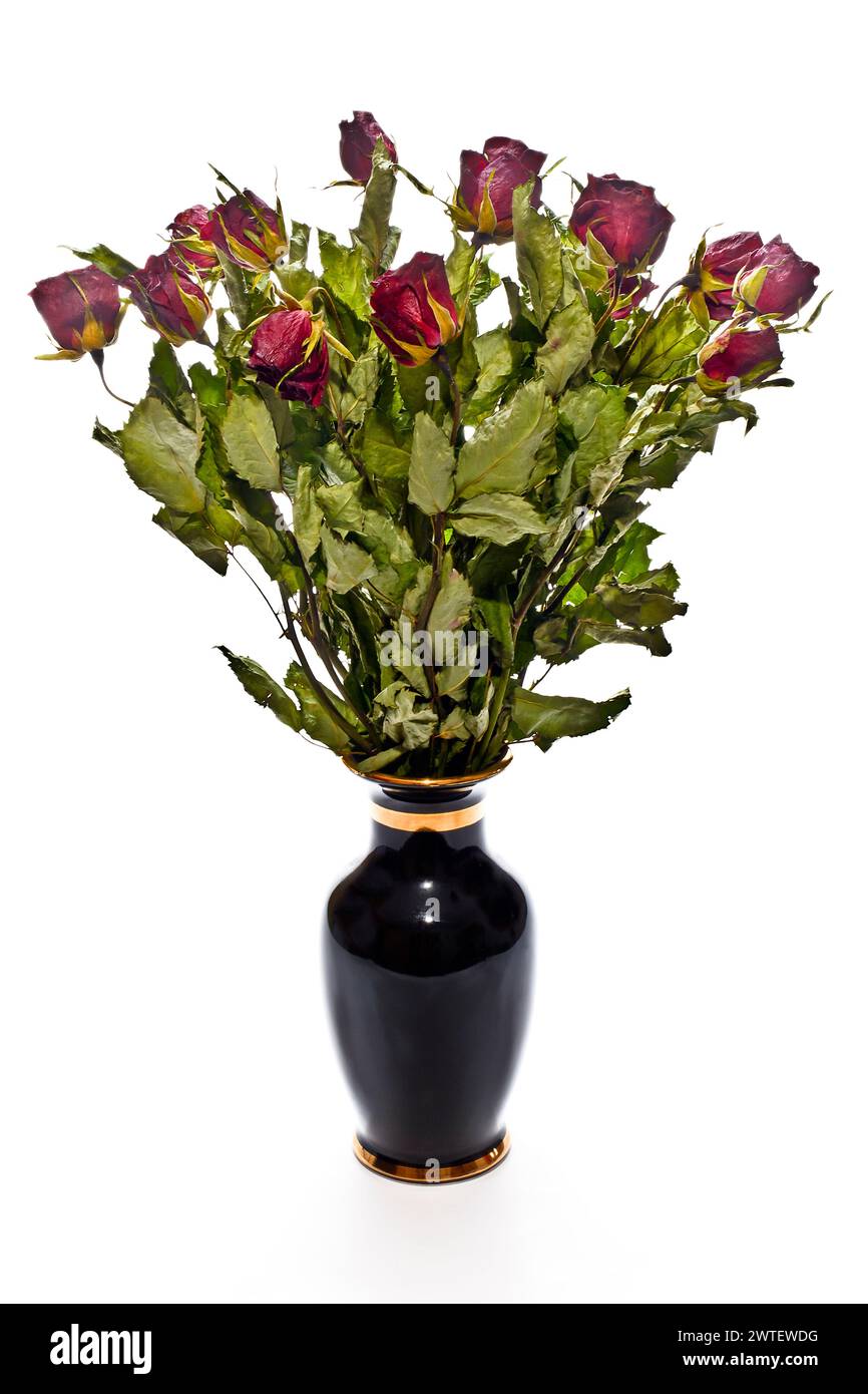 Bouquet di rose rosse essiccate in un vaso nero Foto Stock
