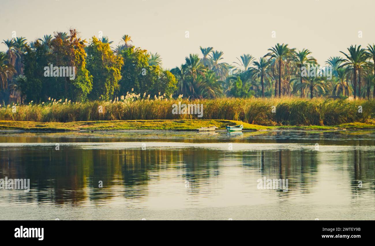 Sponda del fiume Nilo Foto Stock