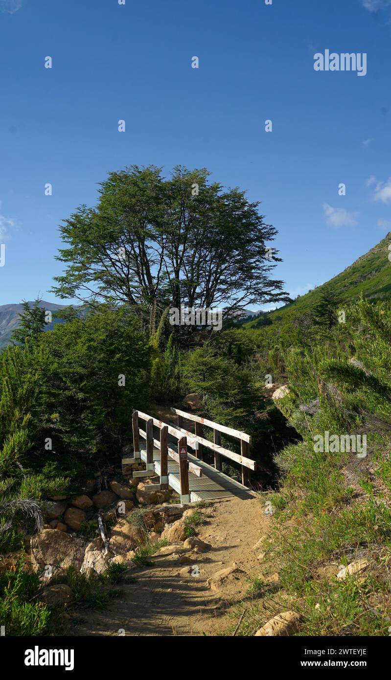 puente de madera en la montaña Foto Stock