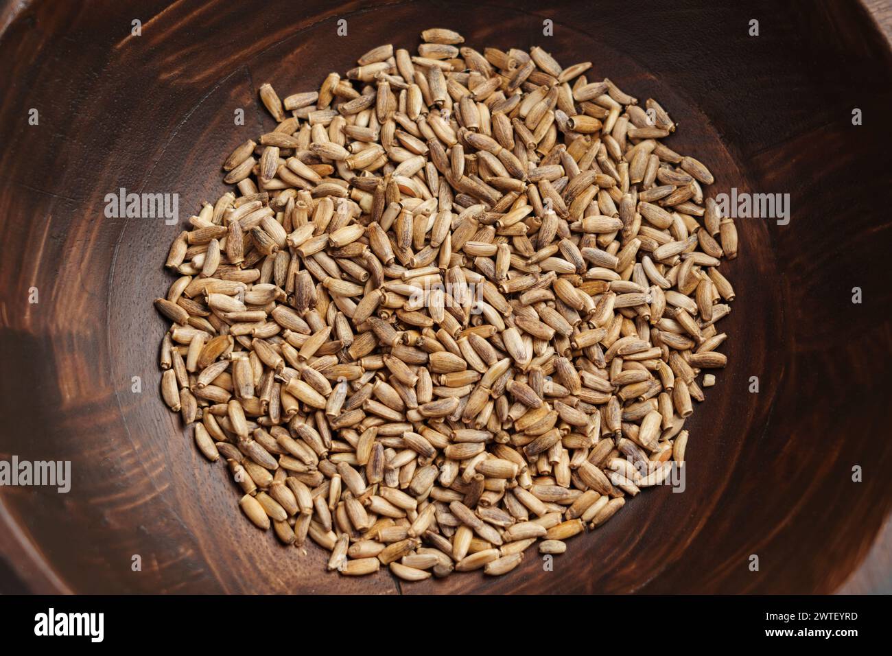 Semi di cardo da latte in un recipiente marrone di legno. Fonte naturale di Silymarin. Vista dall'alto Foto Stock