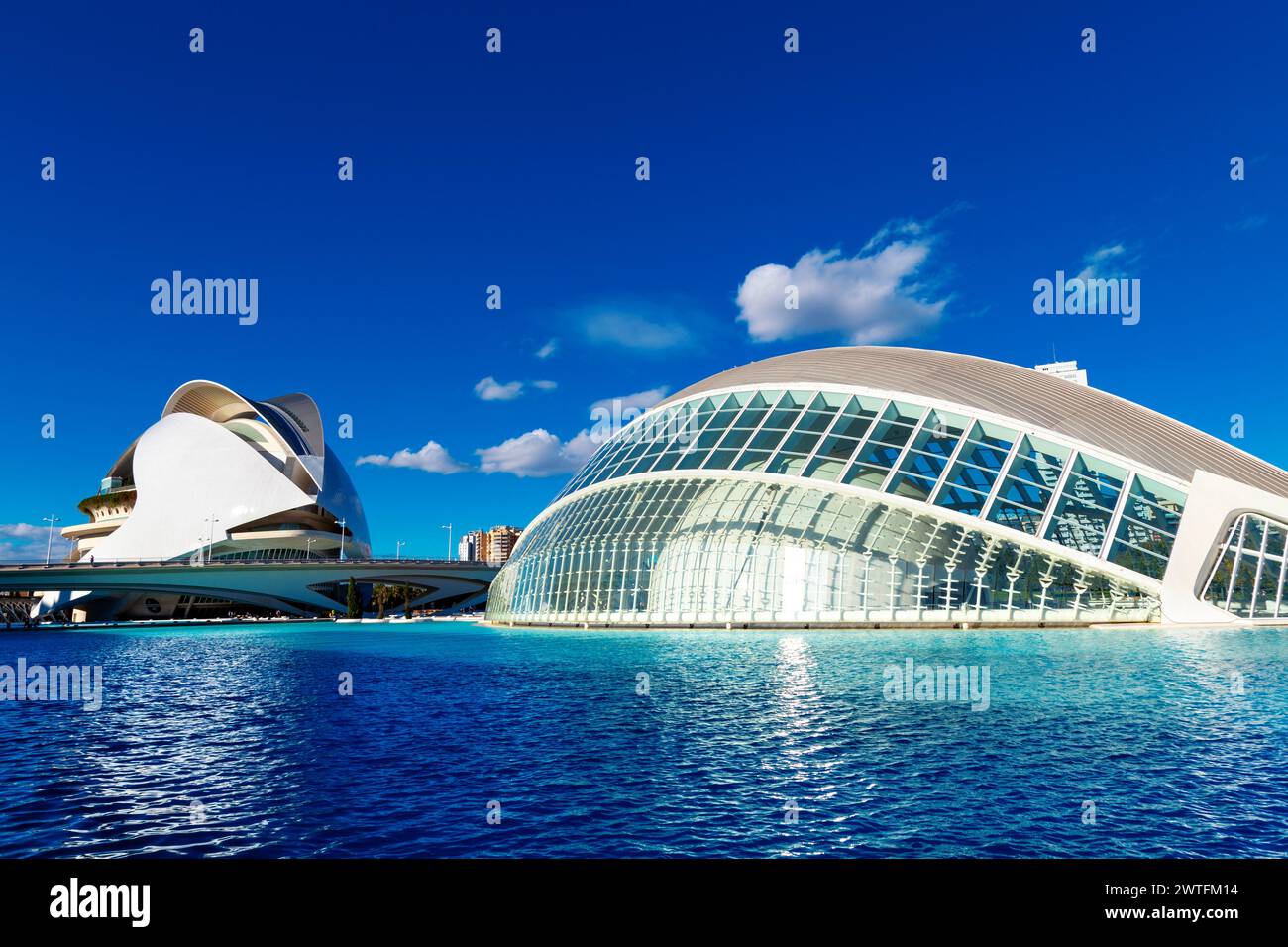 Palazzo delle Arti della Regina Sofia futurista e cinema IMAX Hemisfèric nella città delle Arti e delle Scienze, Valencia, Spagna Foto Stock