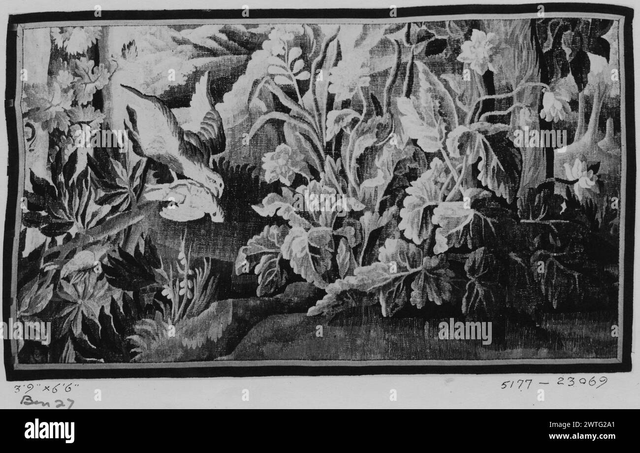 Caccia all'uccello. Arazzo sconosciuto dimensioni: H 3'9' x W 6'6' arazzo materiali/tecniche: Cultura sconosciuta: Centro di tessitura francese: Aubusson storia di proprietà: French & Co. Acquistato da Henri Bendel, ricevuto il 14/12/1920; venduto a Theo. L. Shaw 3/1/1922. Eagle(?) domare un uccello più piccolo, tra piante e alberi fioriti frammento di arazzo; bordi mancanti. French & Co. Scheda di magazzino in archivio, 23520 [elenca anche 23069] Foto Stock