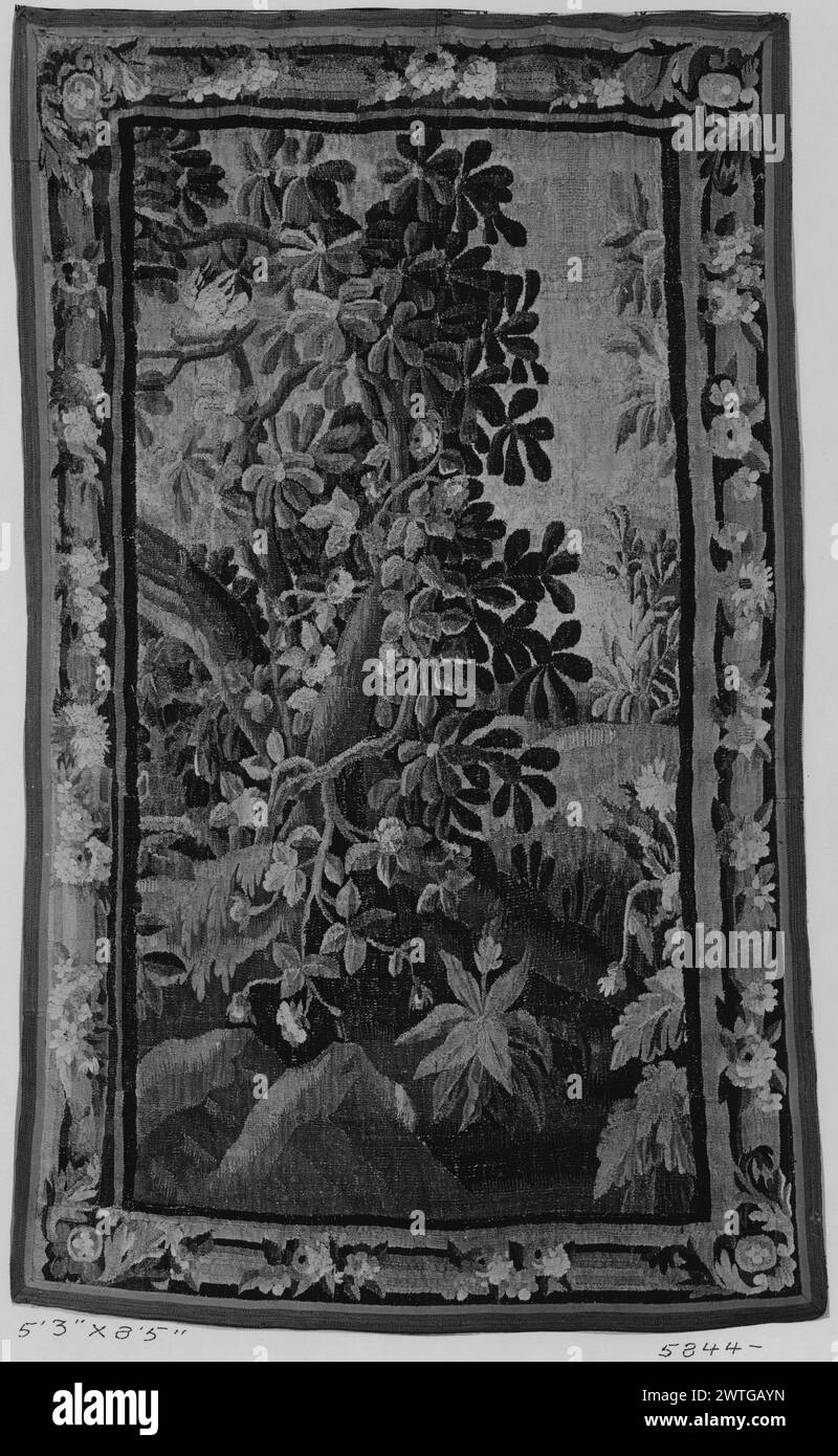 Paesaggio con albero ricoperto di vite. Sconosciuto c. 1750-1800 arazzi dimensioni: H 8'5' x W 5'3' arazzo materiali/tecniche: Sconosciuto Cultura: Francese tessitura Centro: Aubusson Proprietà storia: French & Co. Prato con tronco d'albero coperto da piante in fiore; uccello arroccato sul ramo (L) (BRD) nastro striato all'interno della ghirlanda a spirale; foglie di acanto che racchiudono rosette agli angoli frammento di arazzo. Il confine e il campo sono segnati. Il confine potrebbe non essere contemporaneo al campo. Nessun foglio di stock francese & Co. In archivio, nessun numero di stock Foto Stock