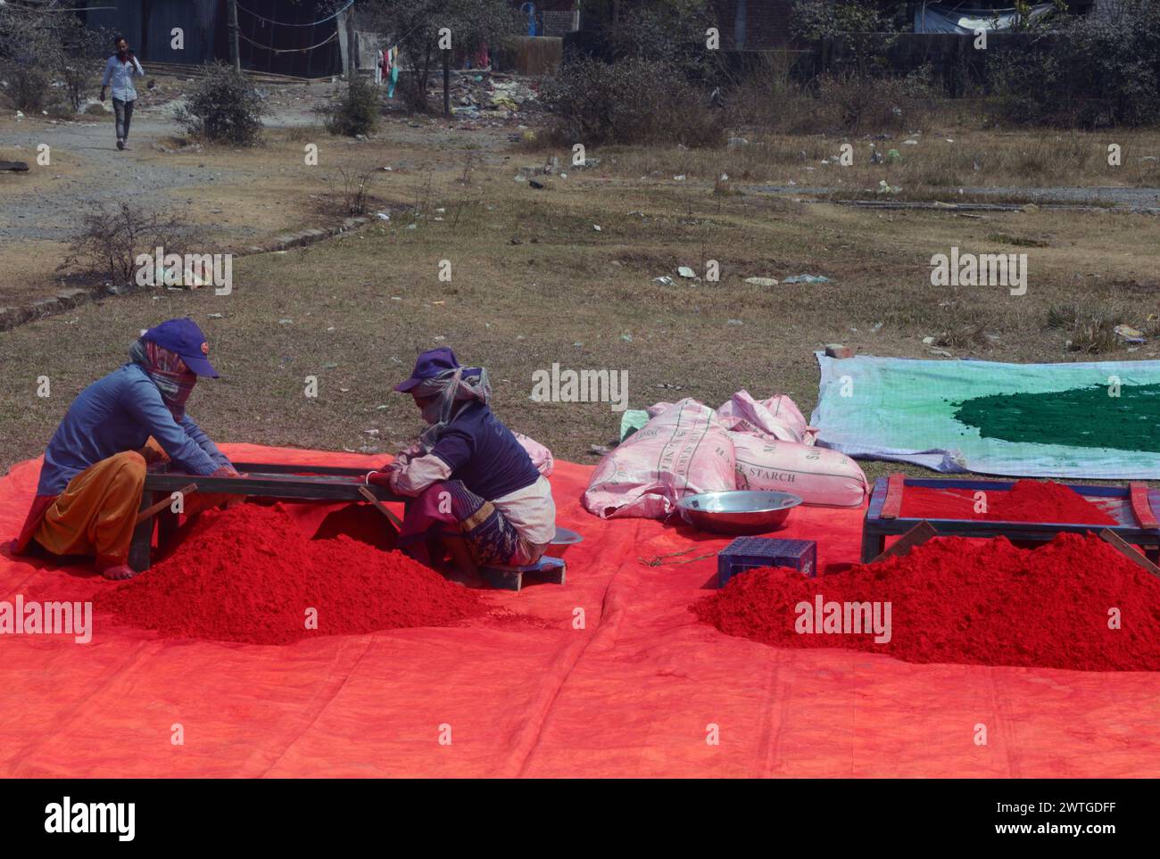 Silguri, Bengala Occidentale, INDIA. 18 marzo 2024. I Labourers seccano Gulal (polvere colorata) per essere successivamente confezionati e venduti in vista del prossimo festival primaverile indù - Holi nell'area di Sastrinagar, alla periferia di Siliguri. (Credit Image: © Diptendu Dutta/ZUMA Press Wire) SOLO PER USO EDITORIALE! Non per USO commerciale! Foto Stock