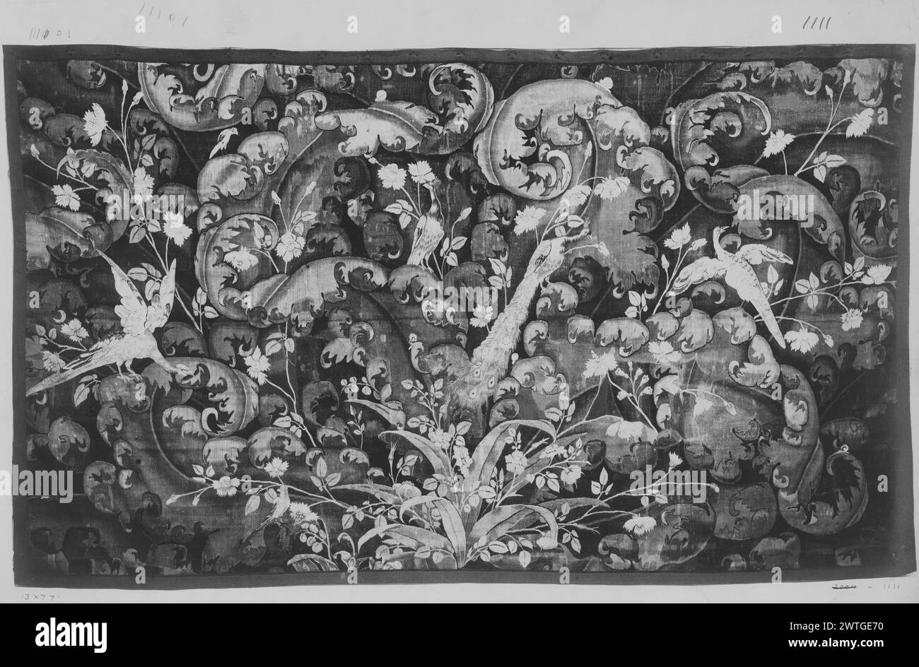 Verdure a foglia grande (feuille de choux) con pavoni. Sconosciuto c. 1550-1600 arazzi dimensioni: H 7'7' x W 13' arazzi materiali/tecniche: Sconosciuto Cultura: Flemish Weaving Center: Sconosciuto storia di proprietà: French & Co. Acquistato dal Sig. [Lionel] Harris, n.d. [probabilmente 10 o 11/1915]. 2 pavoni e 2 altri uccelli nel verde composti da piante di fiori di vespe tra giganti foglie simili ad acanto a scorrimento; pianta con grandi foglie appuntite in un ammasso di verde centrato sul fondo frammento di arazzo; bordi mancanti. French & Co. Foglio stock in archivio, 10111 foglio stock French & Co. Mancante da Foto Stock