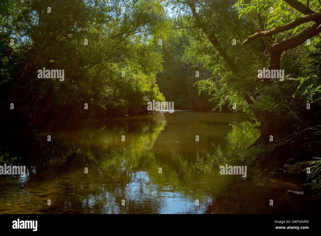 Fiume Boise all'alba nell'Idaho Foto Stock