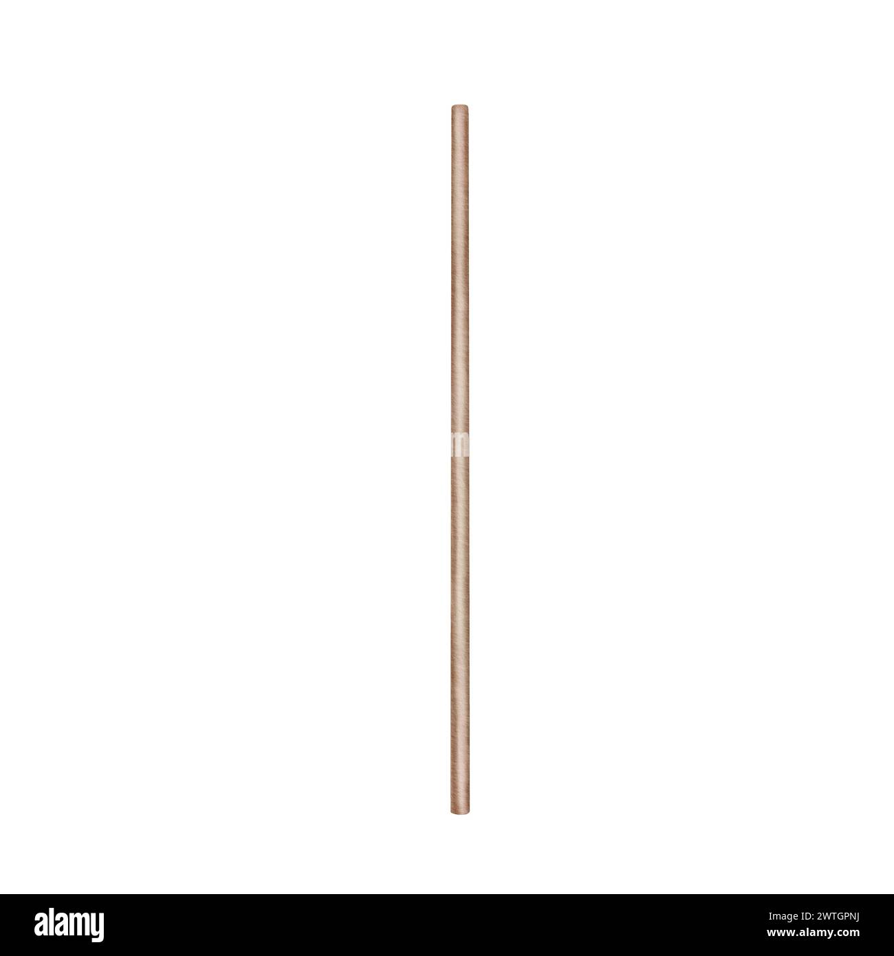 Stick di aroma per diffusore domestico. Bastoncino in legno trasparente per olio profumato. Illustrazione ad acquerello disegnata a mano isolata su sfondo bianco. Foto Stock