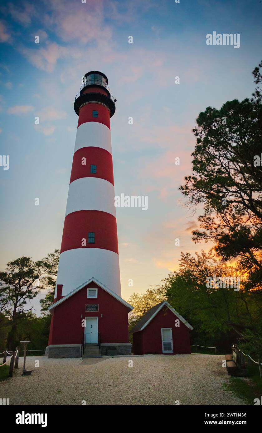 Assateague Light, situato all'interno del Chincoteague National Wildlife Refuge, Virginia, USA Foto Stock