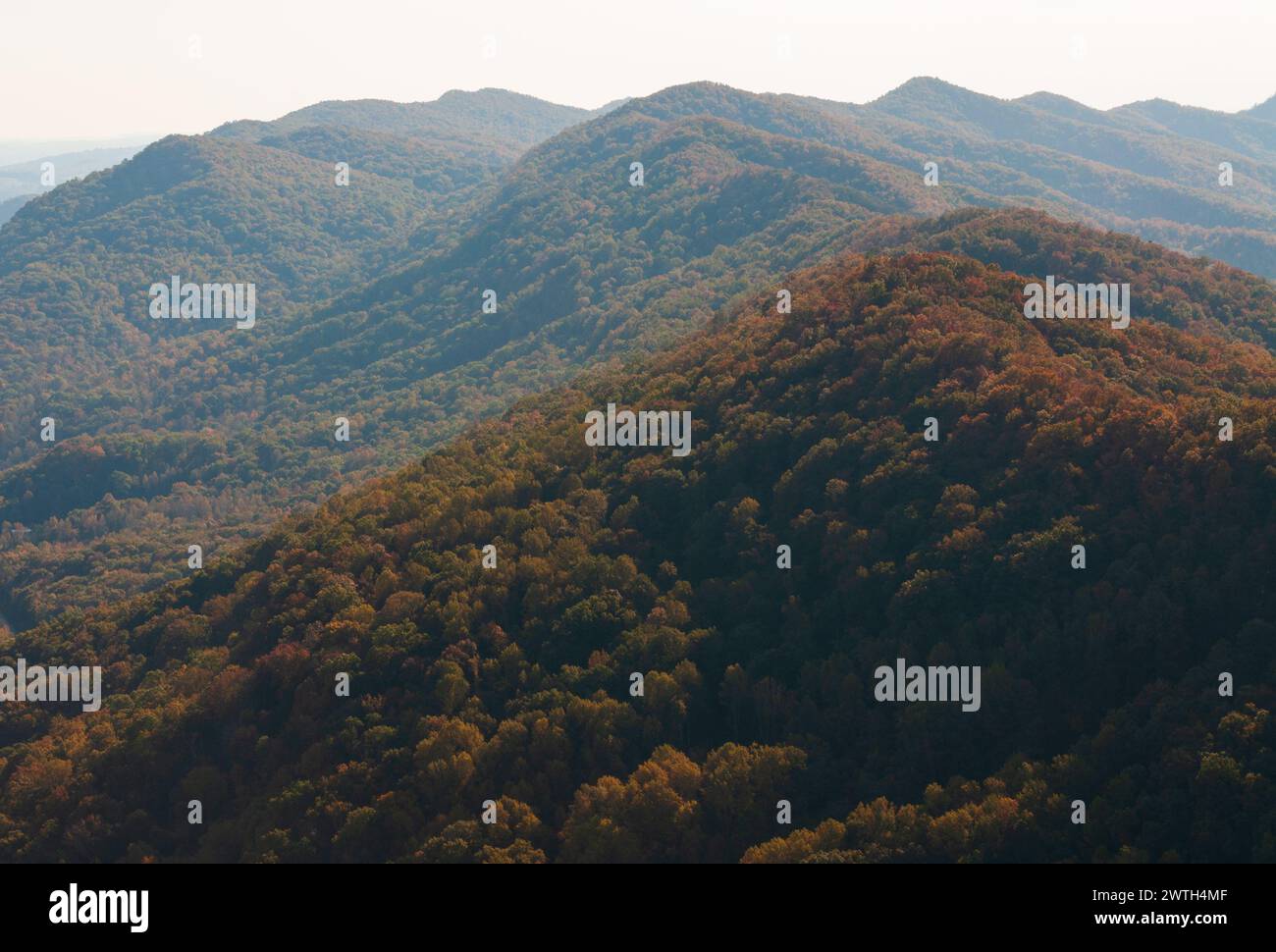 Mattinata nebbiosa al Pinnacle Overlook, Cumberland Gap National Historical Park Foto Stock