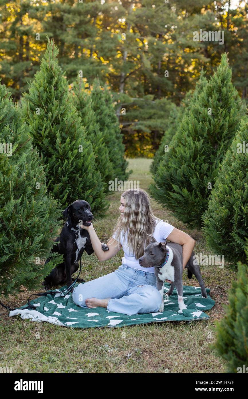 Donna (33) seduta con due cani di soccorso nella fattoria degli alberi di Natale Foto Stock