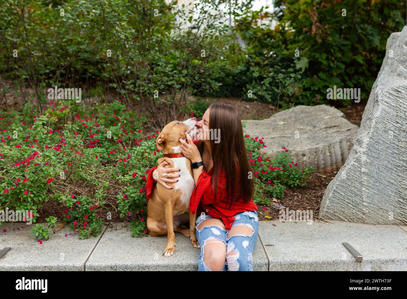 Momento gioioso tra una donna e il suo cane in un giardino Foto Stock