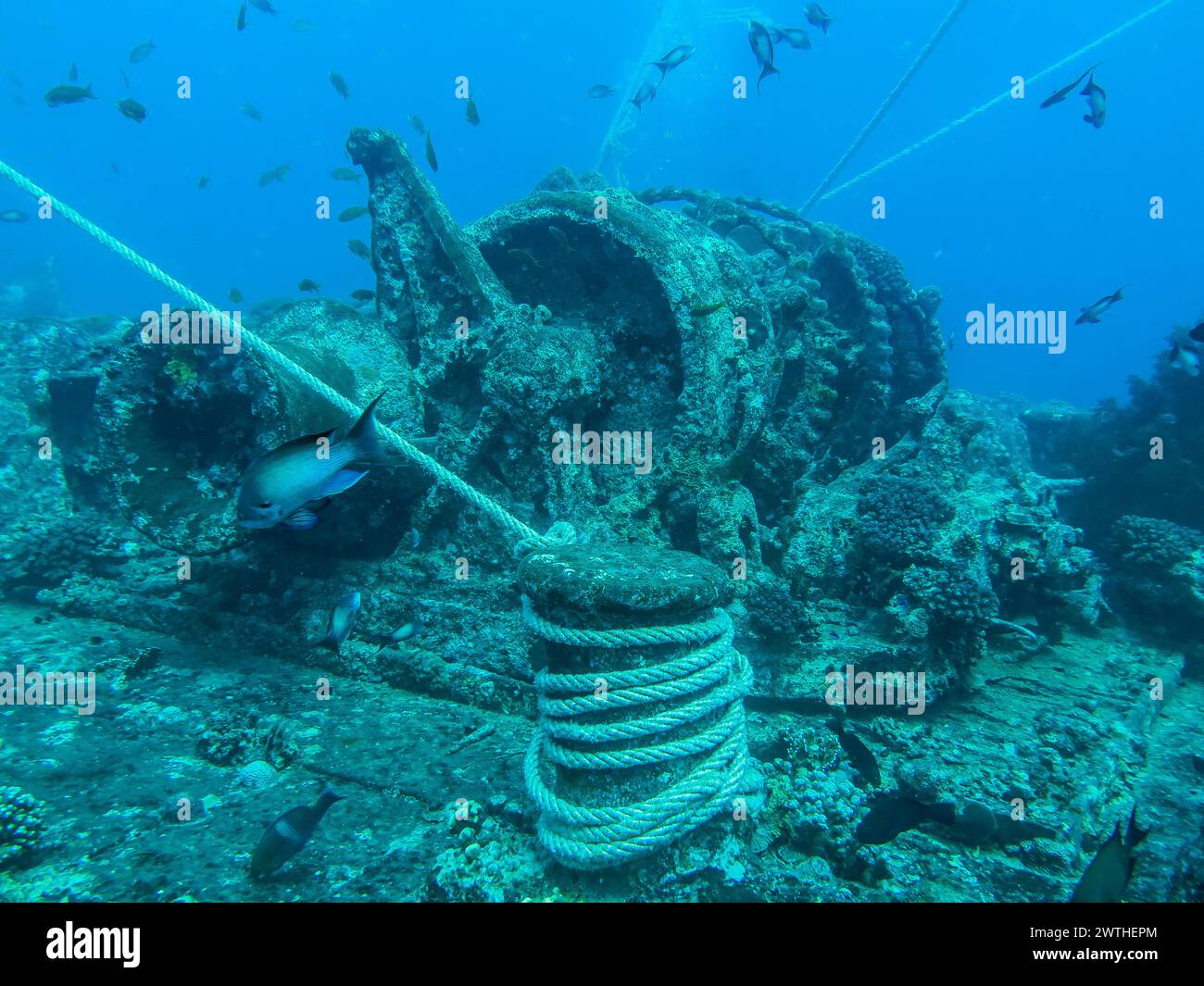 Seilwinde auf dem Oberdeck, Tauchplatz Wrack der Thistlegorm, Rotes Meer, Ägypten Foto Stock