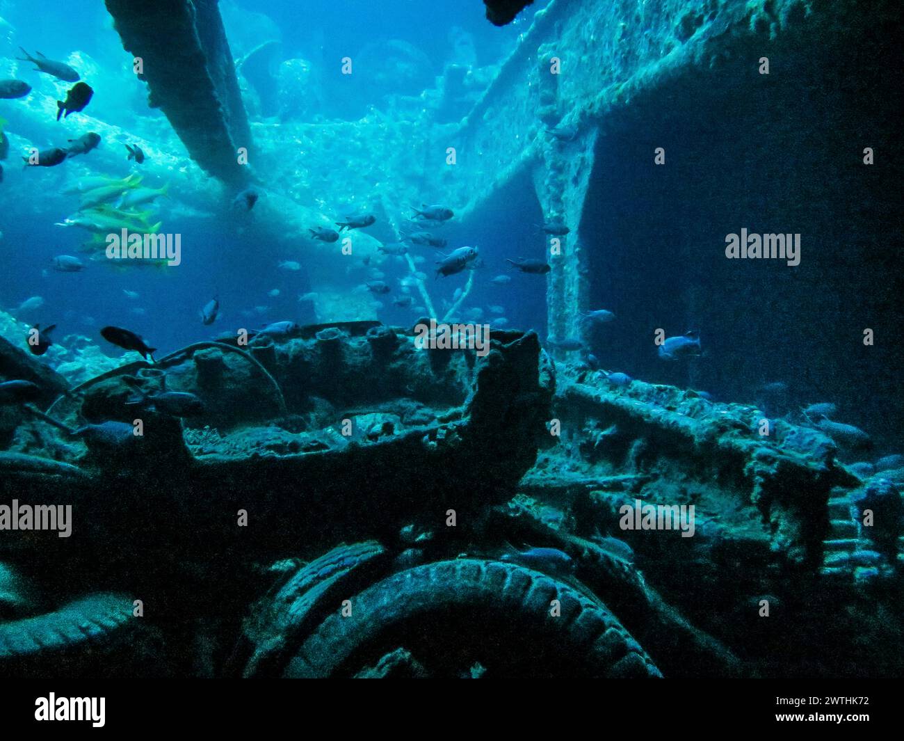 Unteres Deck, Laderäume, Tauchplatz Wrack der Thistlegorm, Rotes Meer, Ägypten Foto Stock