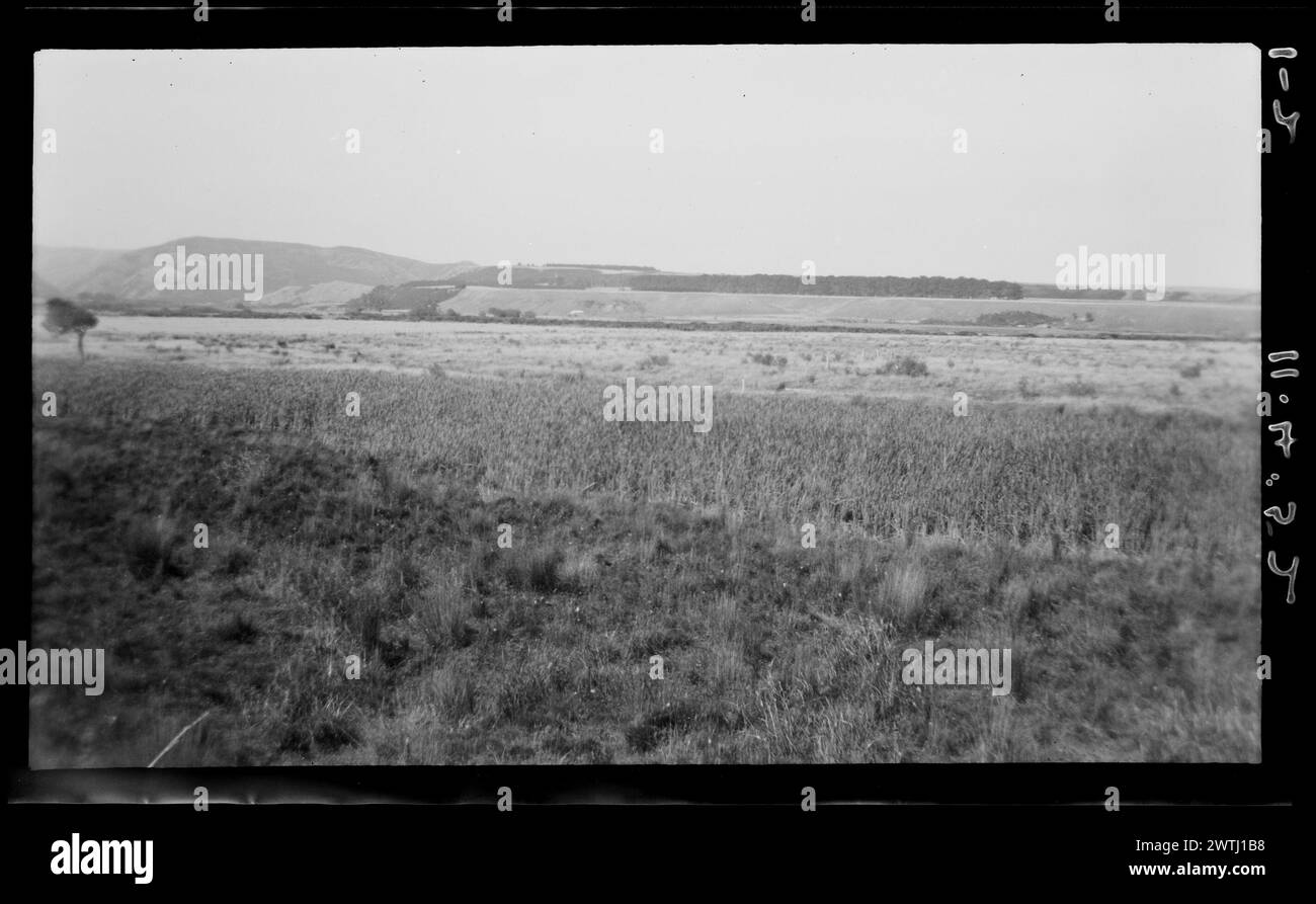 Seconda visita ai pinnacoli di Putangirua, ai siti Maori ecc. ... : Fiume Turanganui e panorama gelatina negativi argento, negativi bianco e nero Foto Stock