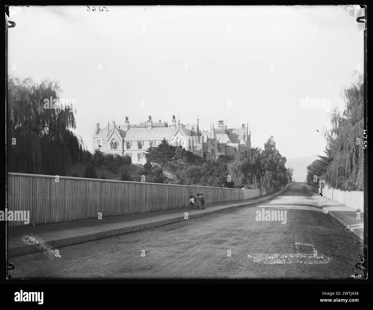 Houses of Parliament, Wellington gelatin dry plate negative, black-and-white negative Foto Stock