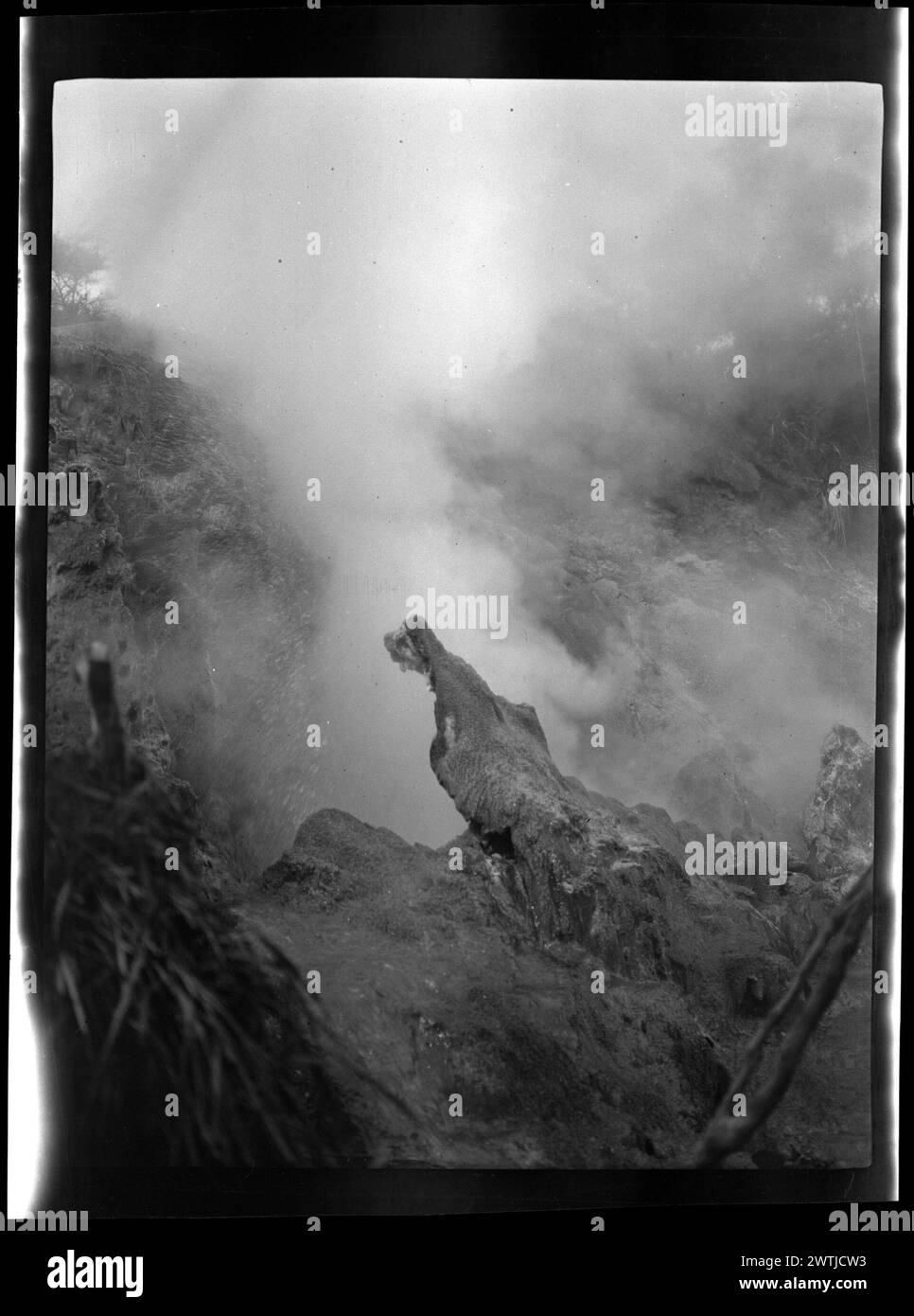 Geyser erupting gelatin Silver negative, black-and-white negative Foto Stock