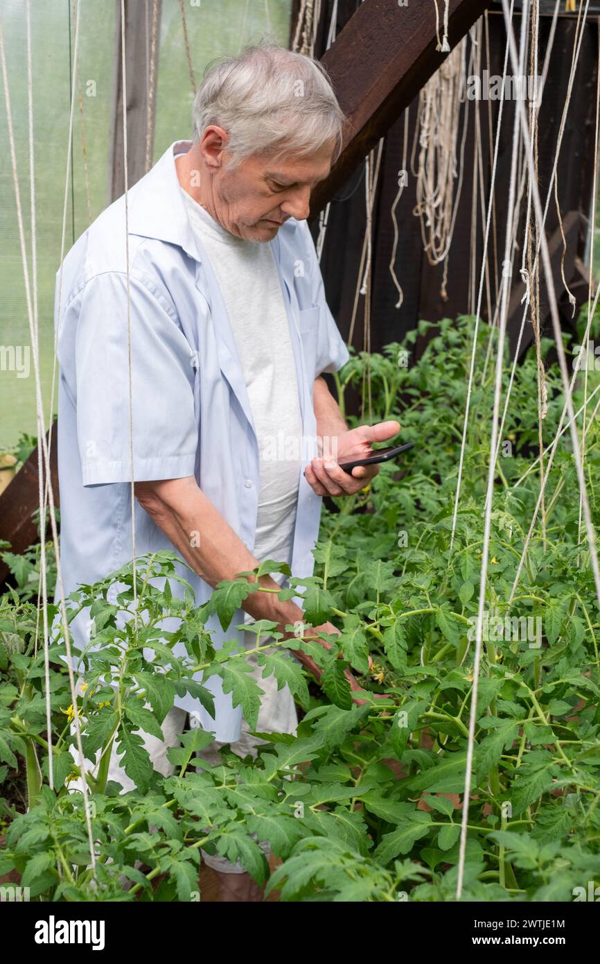 Uomo anziano che scatta foto ed esamina le piante da vicino con uno smartphone, raffigurando l'attenzione ai dettagli nel giardinaggio domestico, adatto per articoli su Foto Stock