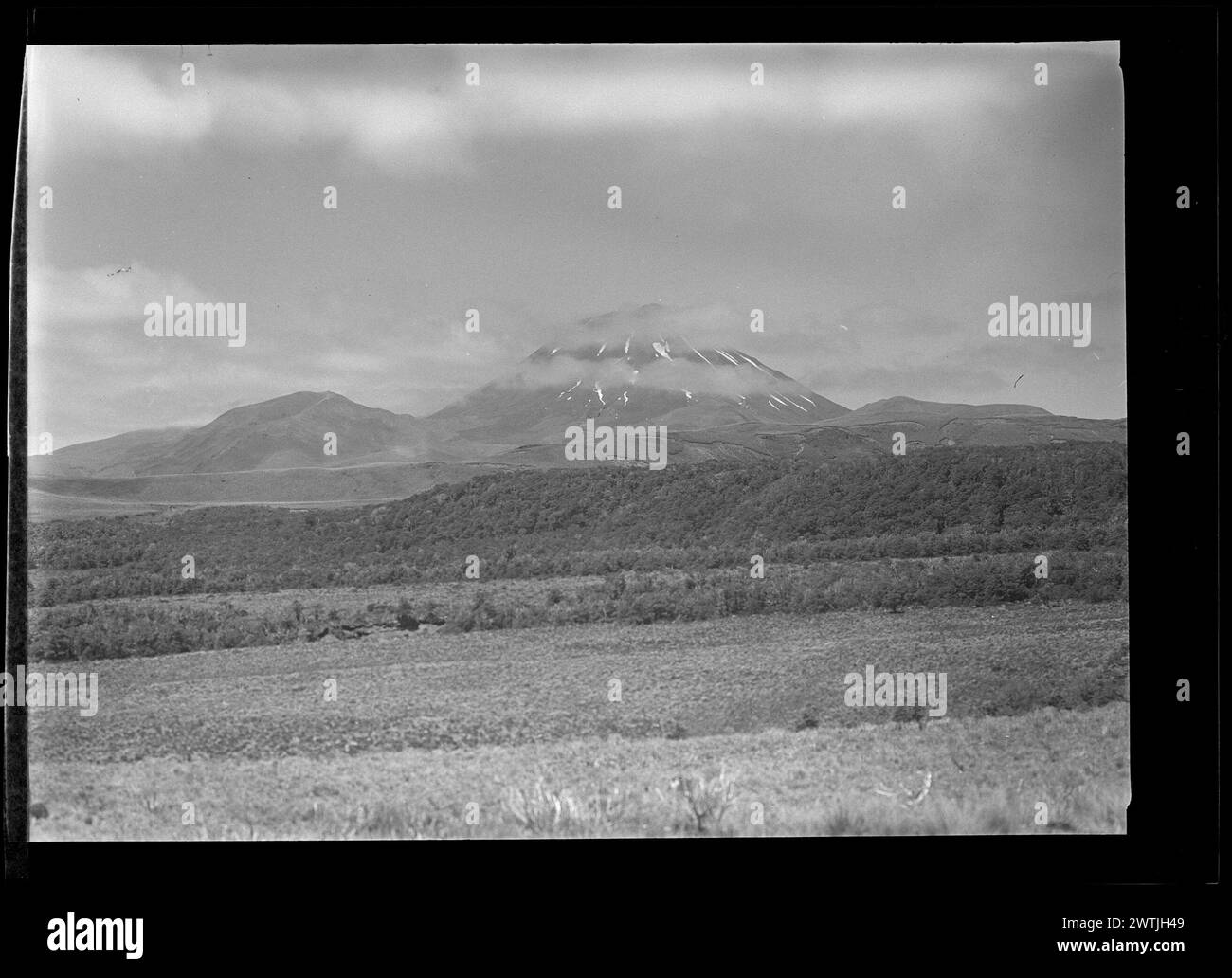 Paesaggi neozelandesi negativi in bianco e nero, negativi in argento gelatina Foto Stock