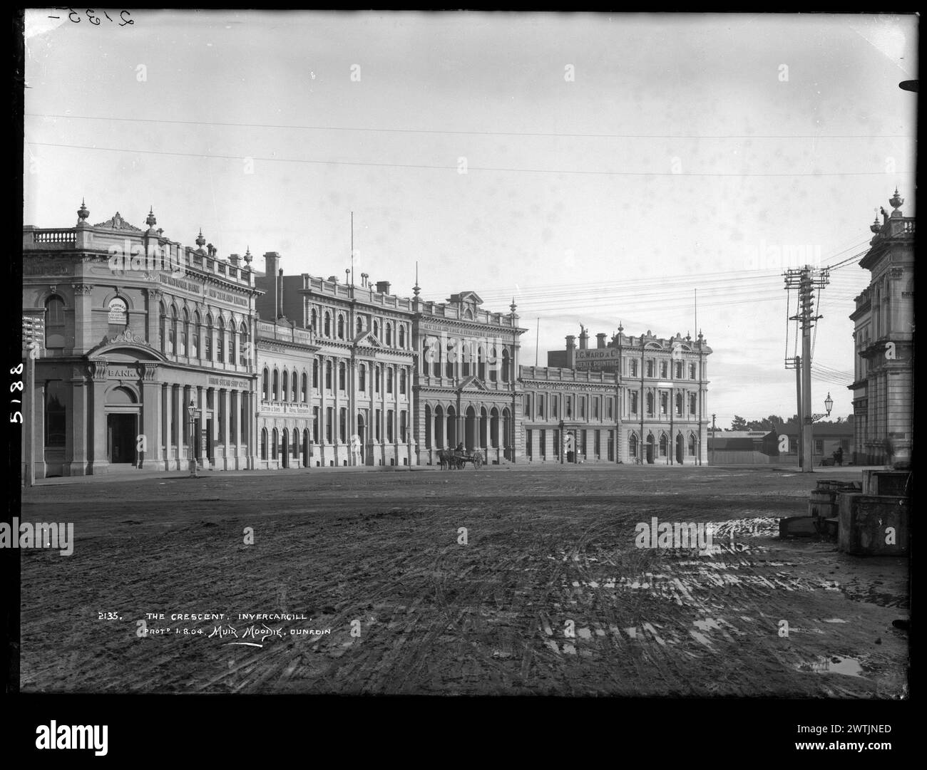 I negativi della piastra secca Crescent, Invercargill gelatina, negativi in bianco e nero Foto Stock