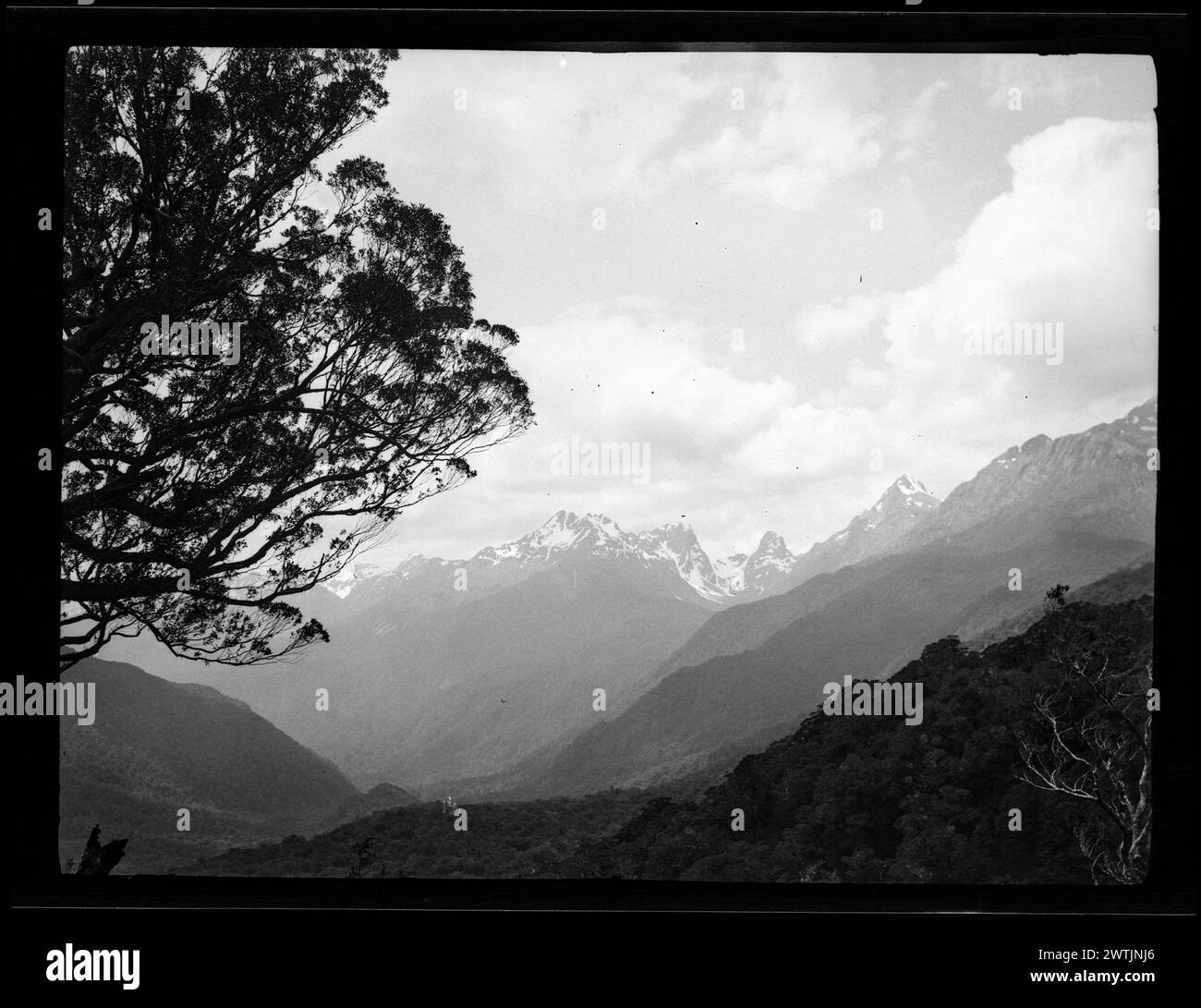 Negativi d'argento gelatina della valle di montagna boscosa, negativi in bianco e nero Foto Stock