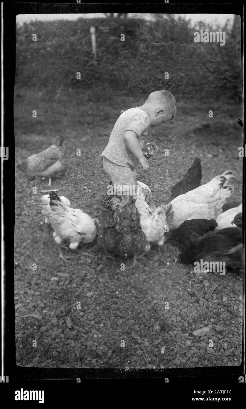 Michael Johnson che dà da mangiare ai polli, ai negativi d'argento della gelatina del Somerset, ai negativi in bianco e nero Foto Stock