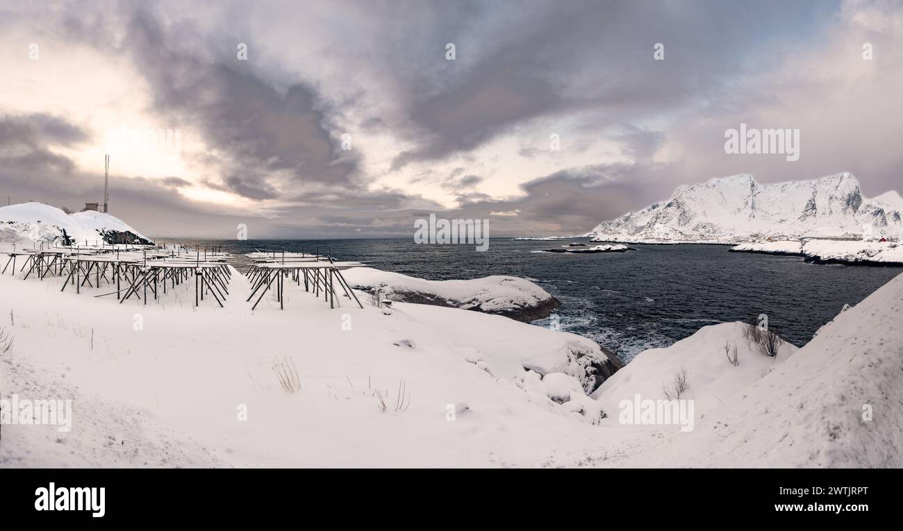Rack per essiccazione di merluzzi bianchi ad Hamnoy a Lofoten, Norvegia Foto Stock