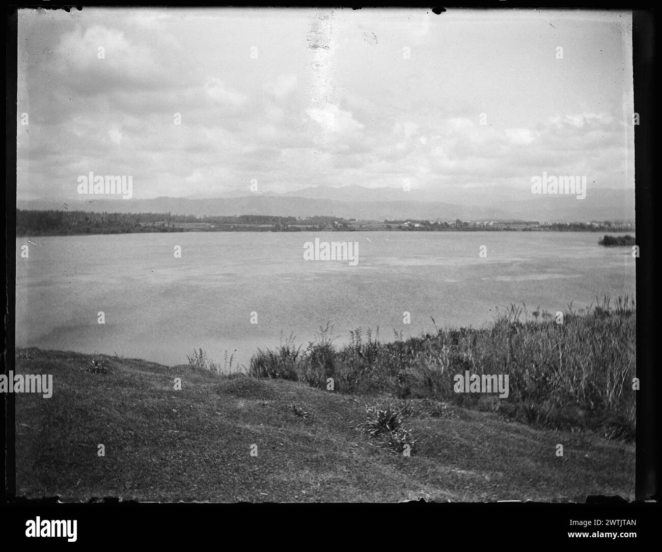 Lago Horowhenua dall'estremità nord-occidentale guardando verso i negativi secchi della piastra della gelatina di Levin, negativi in bianco e nero Foto Stock