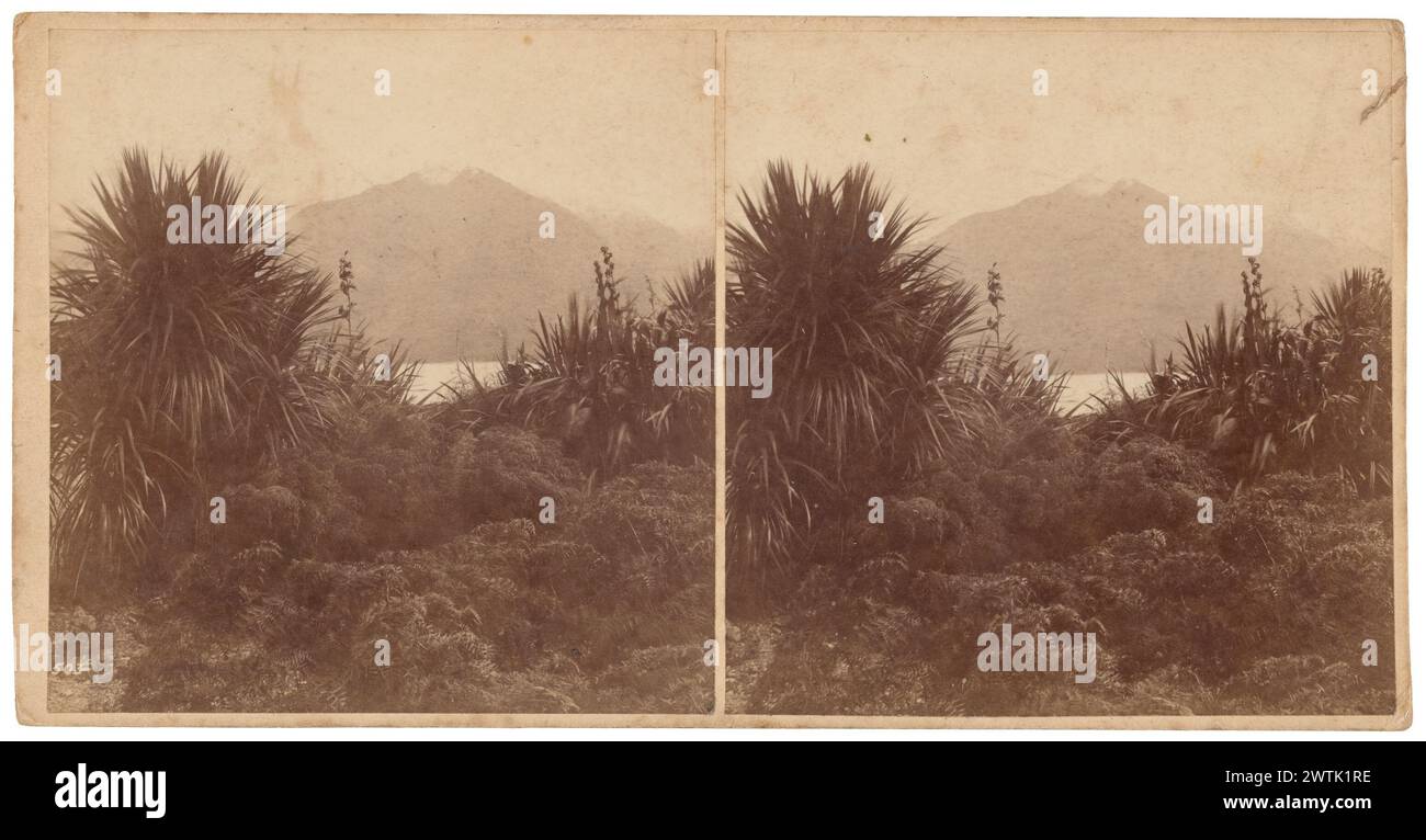 Lago Wanaka, fotografie stereoscopiche di Boundary Point, fotografie, stampe di albumi, stampe in bianco e nero Foto Stock
