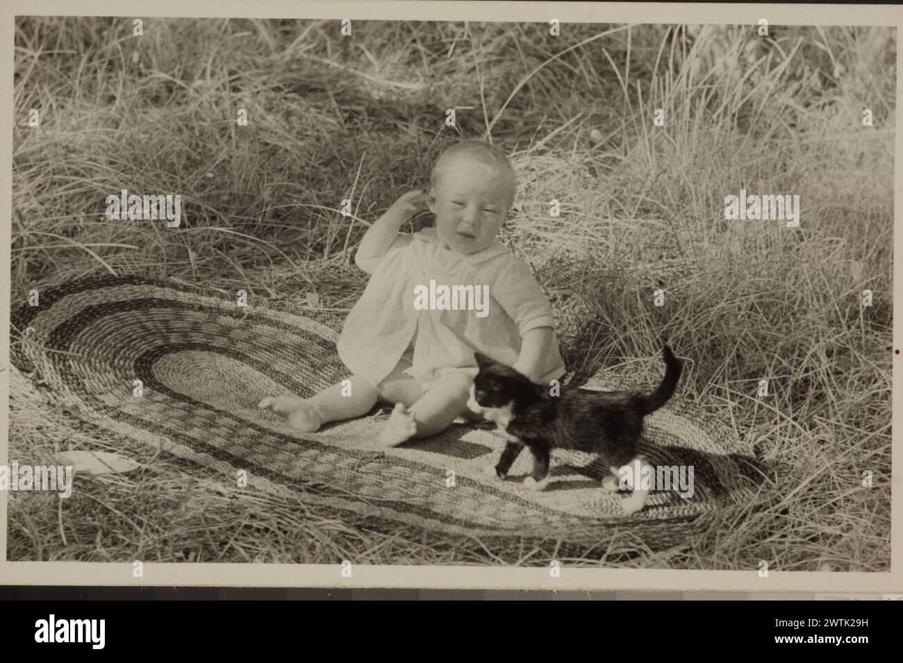 Peter Lee-Johnson in giardino, stampe Piha in bianco e nero Foto Stock