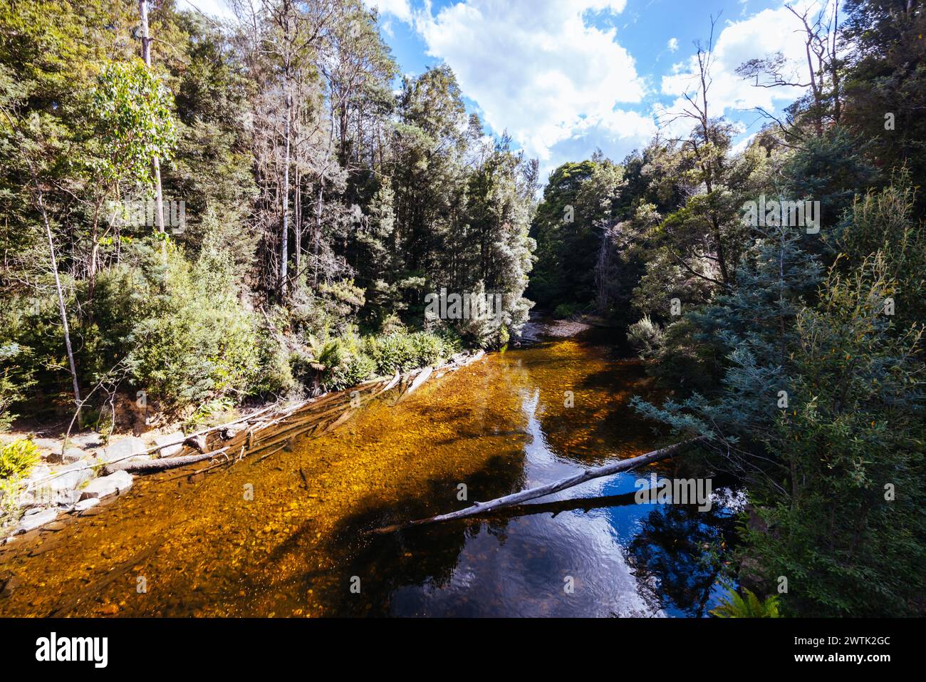 STYX VALLEY, AUSTRALIA - 20 FEBBRAIO 2024: Paesaggio dell'area del fiume Styx della Styx Valley vicino a Maydena nel Southwest National Park, Tasmania, Aust Foto Stock