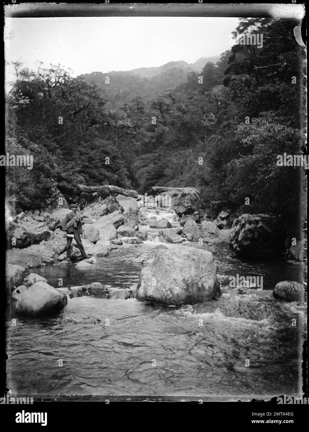 River, Tararua Ranges gelatina piatti negativi secchi, negativi in bianco e nero Foto Stock