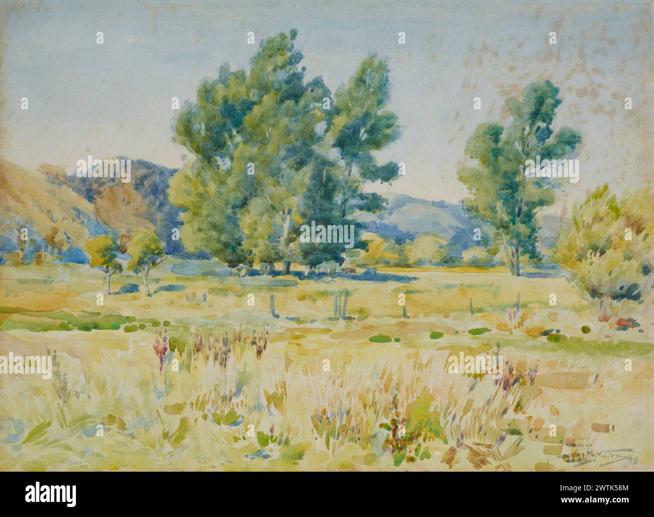 Acquerelli estivi, funziona su carta Foto Stock