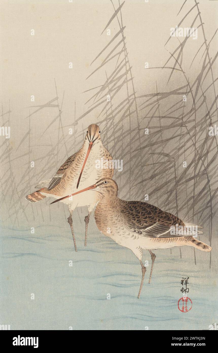 Due divinità dalla coda da bar. xilografie a colori, oban, funziona su carta Foto Stock