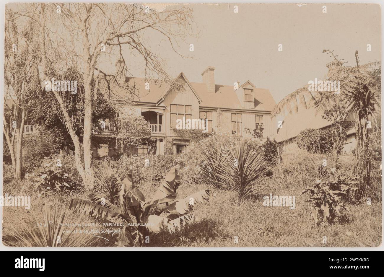 Bishop's Court, Parnell, Auckland cartoline fotografiche Foto Stock