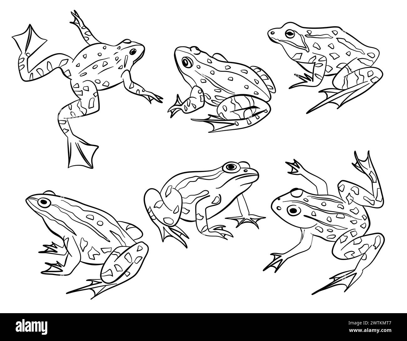 Frog Outline Actions illustrazione raccolta vettoriale. Set di sei rettili Illustrazione Vettoriale