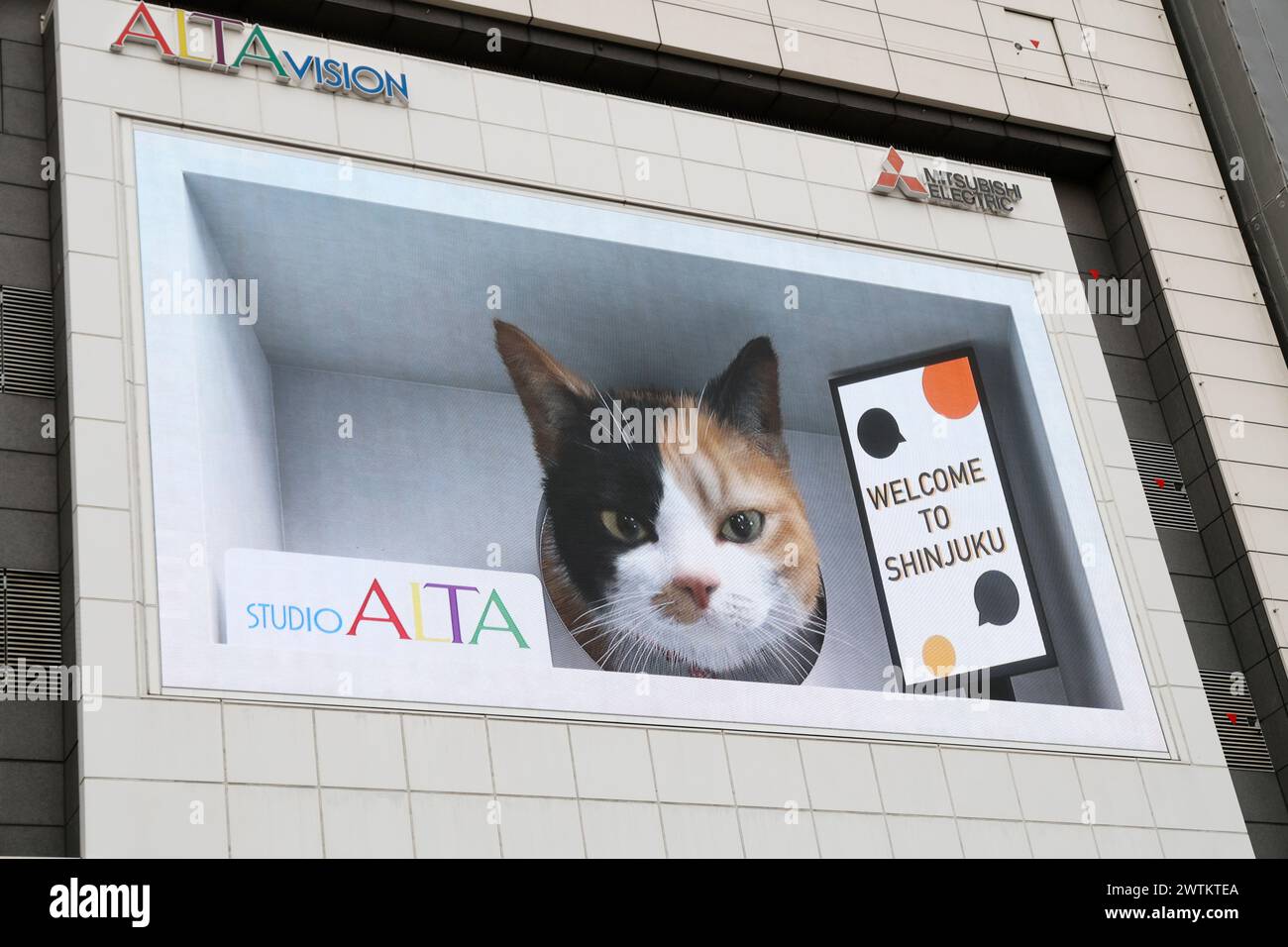 AFFISSIONI DIGITALI DI UN GIGANTE CAT 3D REALISTICO STUPISCE GLI SPETTATORI A TOKYO Foto Stock