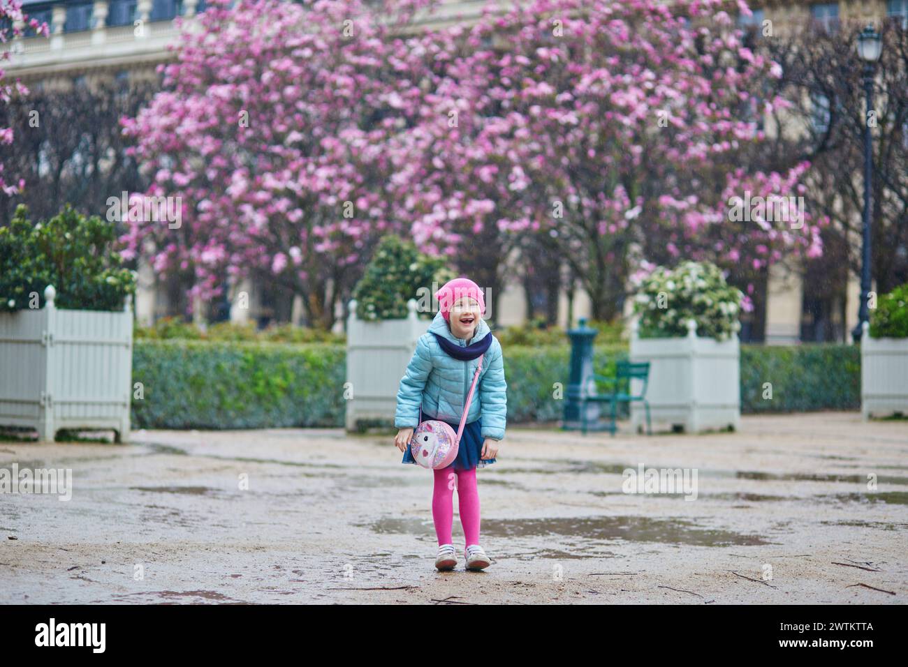 Adorabile ragazza in età prescolare che si gode di magnolie rosa in piena fioritura in una giornata di pioggia in un parco di Parigi, Francia Foto Stock
