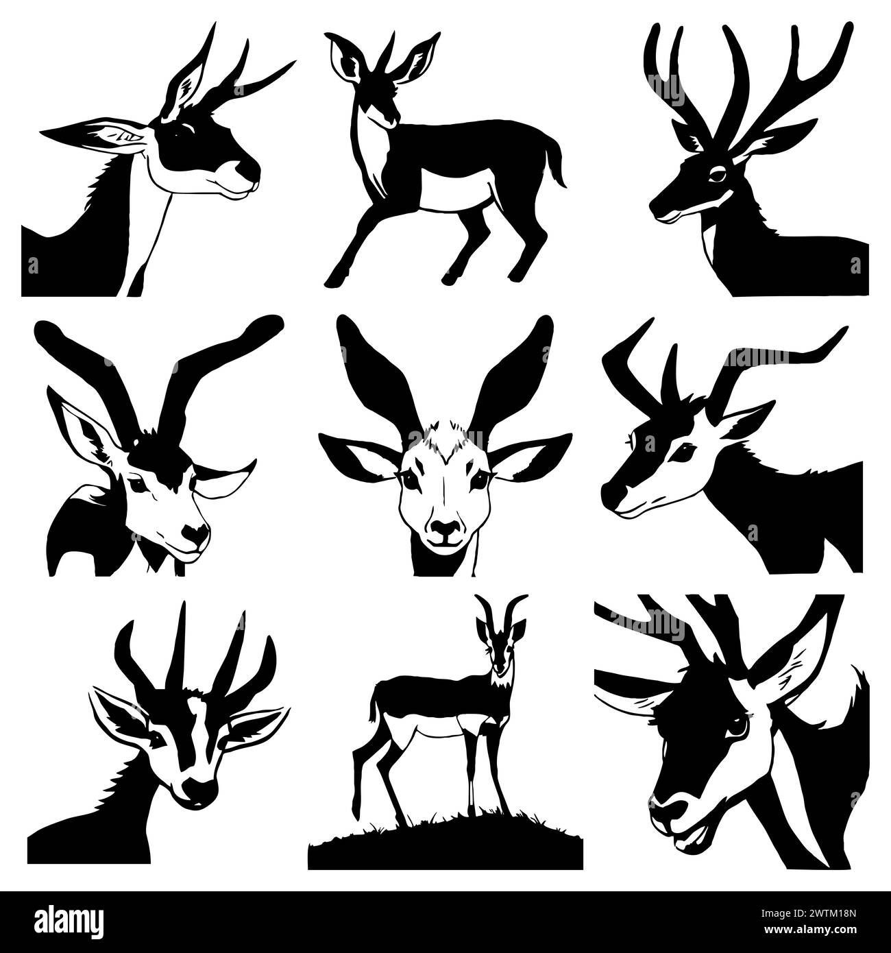 Gazzella nera su sfondo bianco. Illustrazione di animali. Foto Stock