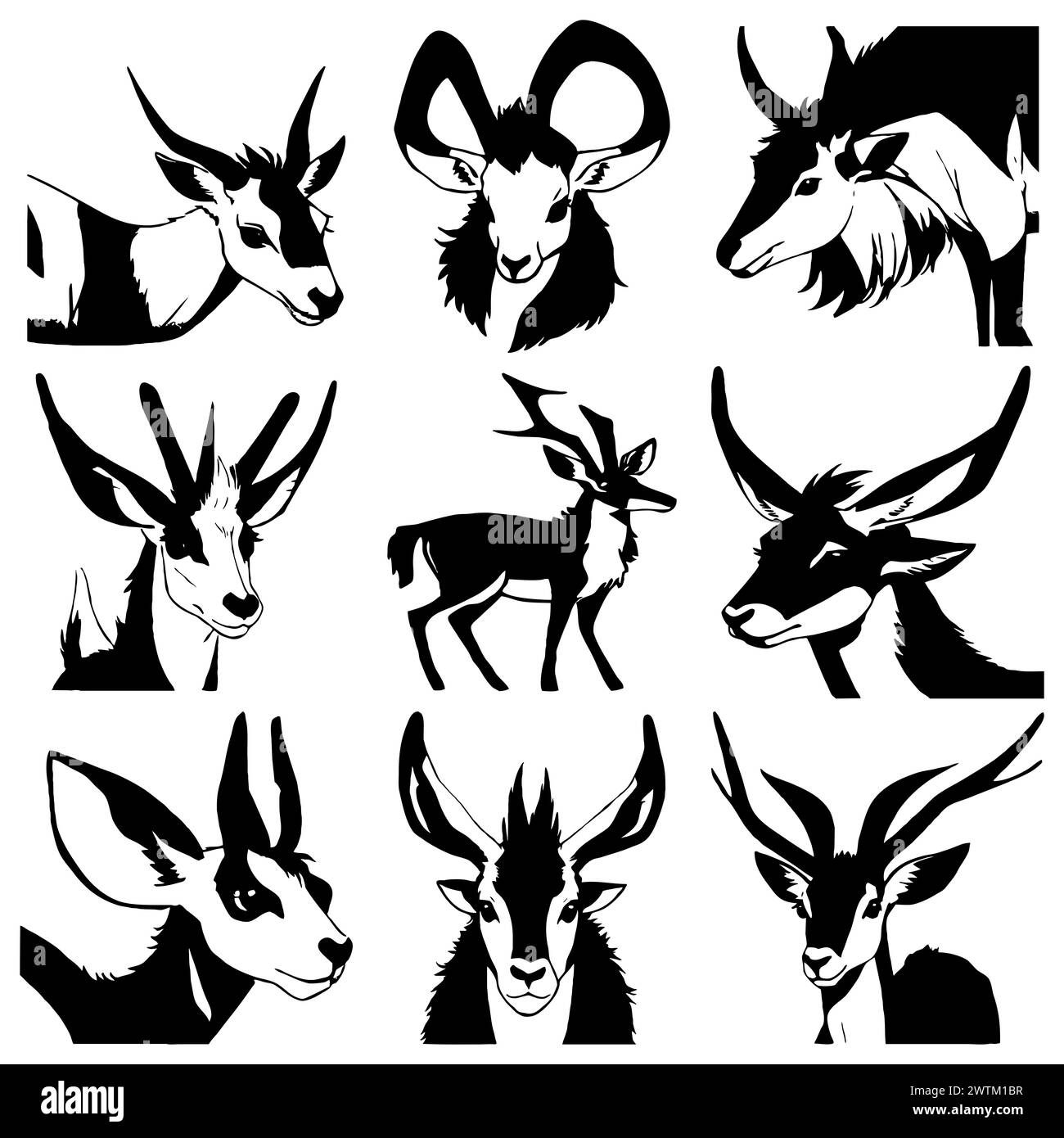 Gazzella nera su sfondo bianco. Illustrazione di animali. Foto Stock