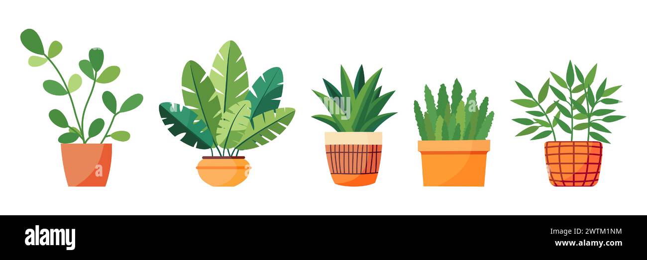 Set di piante per la casa in una pentola. Stile piatto. Pianta verde in vaso di fiori per una decorazione accogliente della casa, giardino, veranda, balcone, terrazza, ufficio, vivo Illustrazione Vettoriale