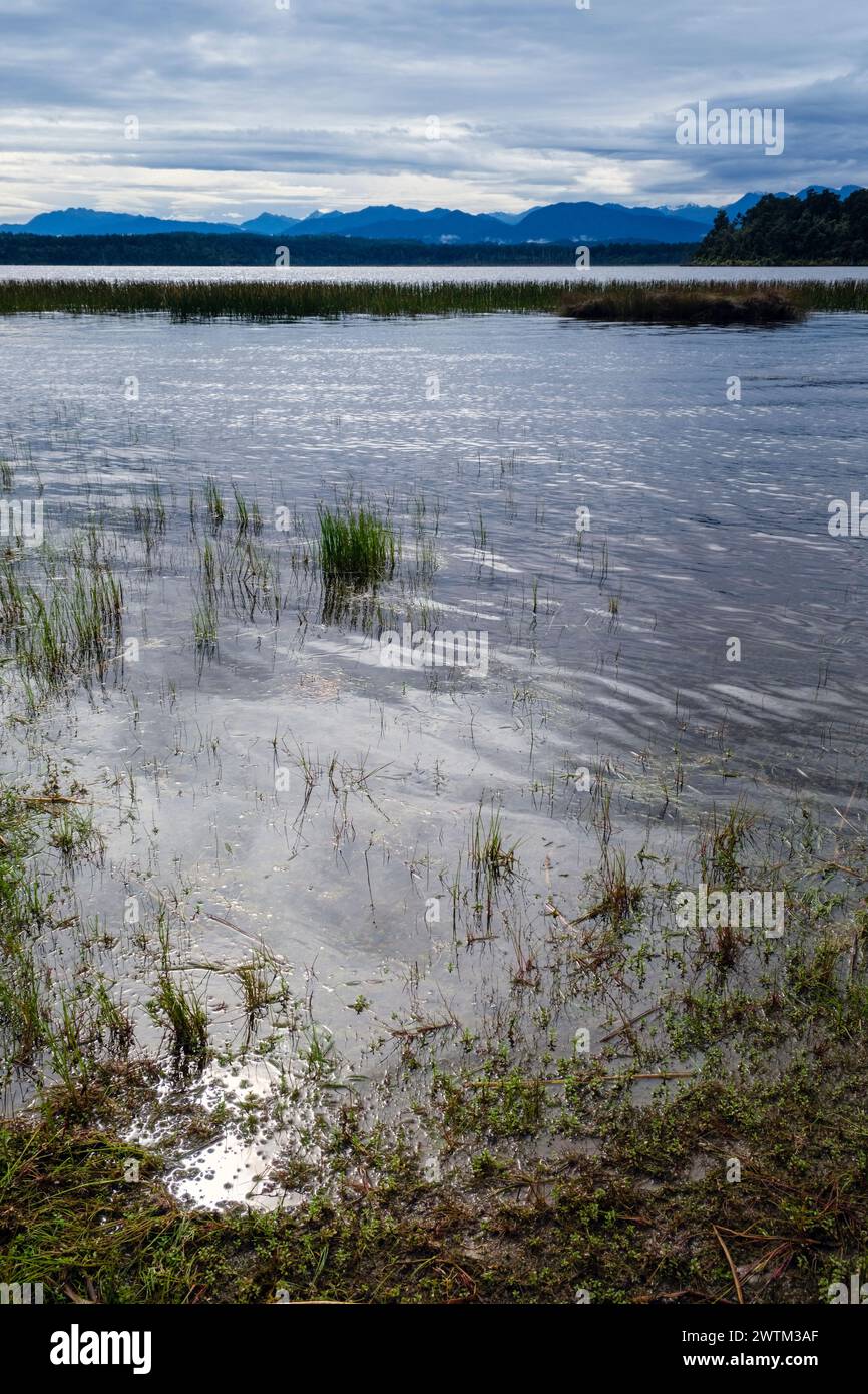 Lago Mahinapua nella regione della costa occidentale dell'Isola del Sud della nuova Zelanda Foto Stock