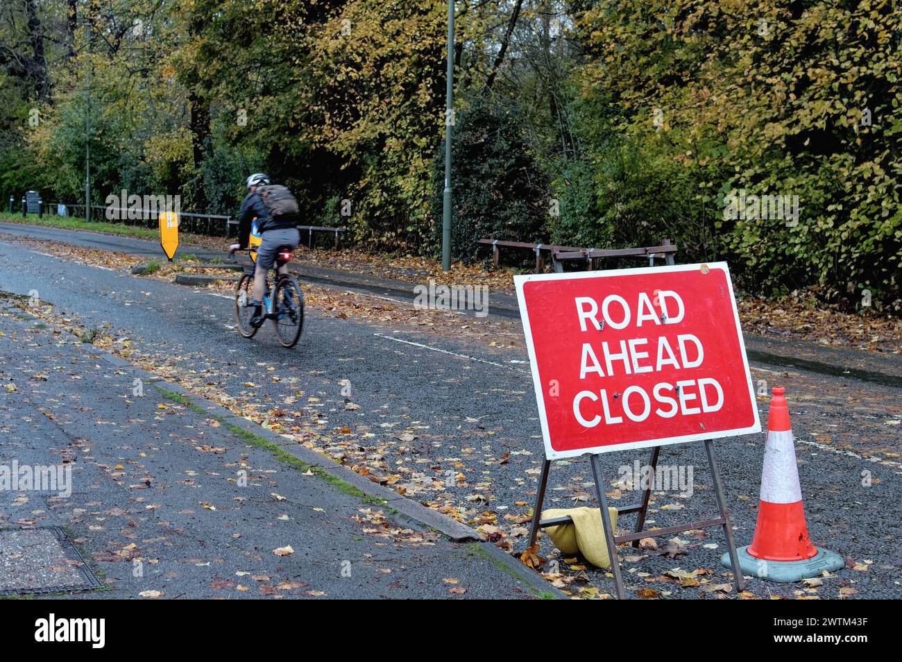 Un ciclista che supera un grande cartello "Road Ahead CLOSED" su una strada urbana a Shepperton, Surrey, Inghilterra, Regno Unito Foto Stock