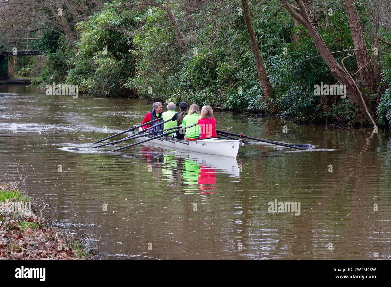 Un gruppo misto di uomini e donne rematori di mezza età che regnano sul canale di navigazione del fiume Wey a Byfleet in un giorno d'inverno Surrey Inghilterra Regno Unito Foto Stock