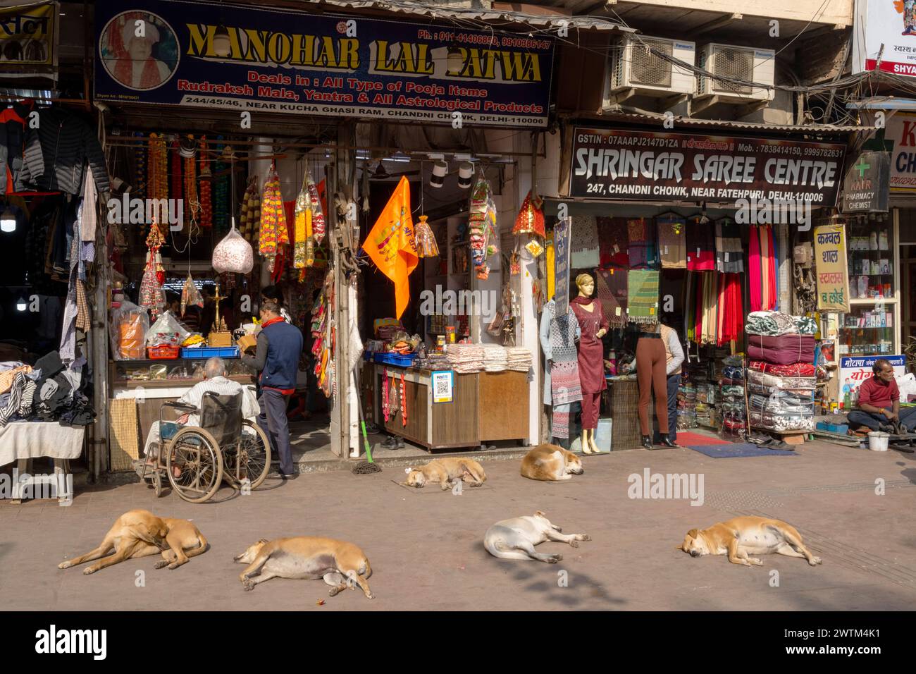 India, Vecchia Delhi, Chandni Chowk, Strassenszene Foto Stock