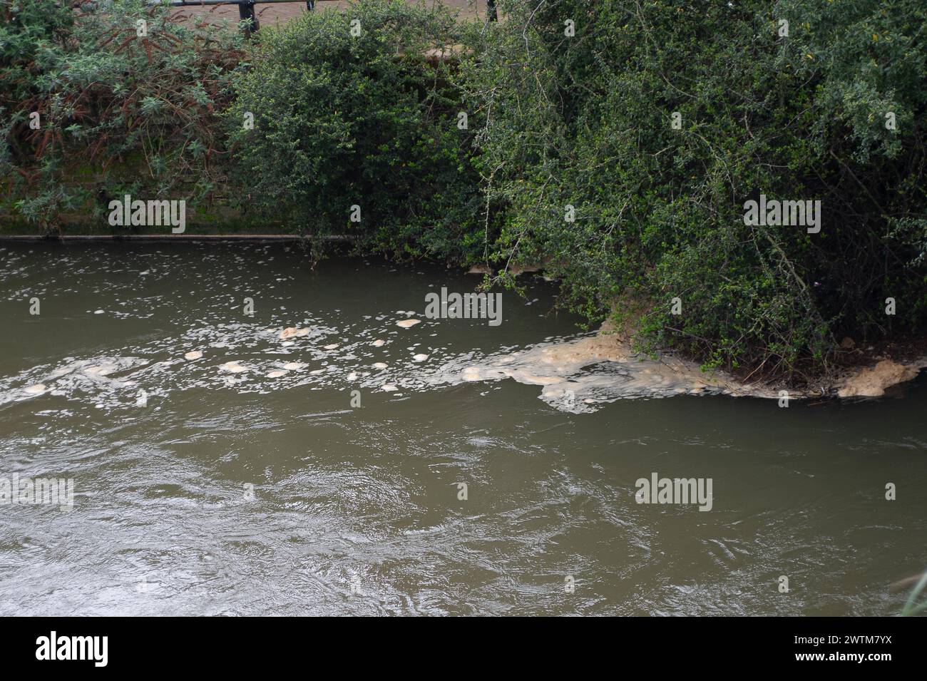 Windsor, Berkshire, Regno Unito. 18 marzo 2024. Le acque del Tamigi scaricano le acque reflue dai loro impianti di trattamento delle acque reflue di Windsor nel fiume Tamigi ancora oggi. Si prevede che l'acqua del Tamigi finirà nel prossimo futuro e alcuni ambientalisti sperano che l'acqua del Tamigi venga nuovamente nazionalizzata. Le acque del Tamigi hanno un record molto scarso nello scarico di acque reflue nei fiumi. Crediti: Maureen McLean/Alamy Live News Foto Stock