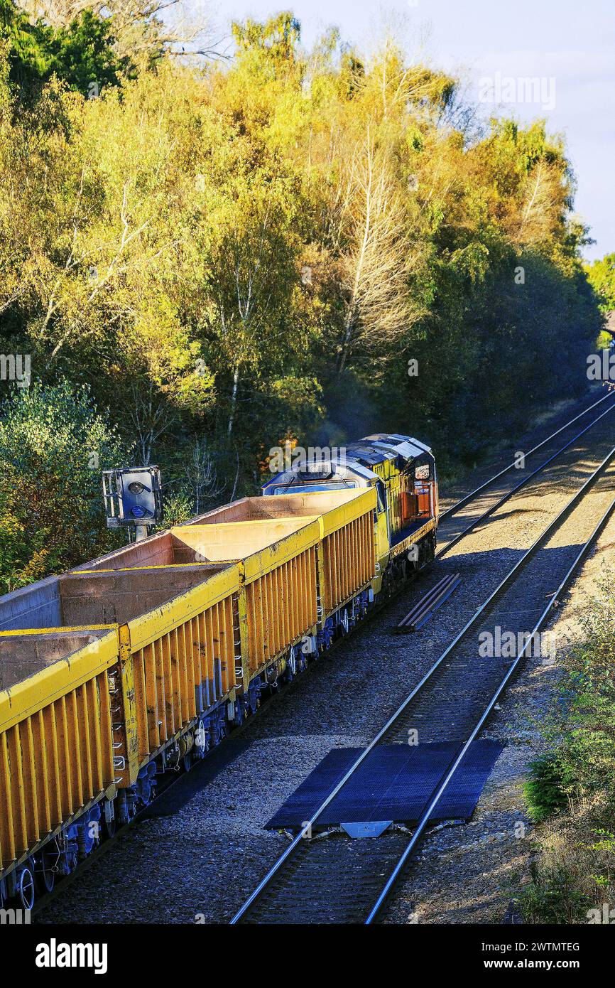 Stazione ferroviaria suburbana Commuter passeggeri diesel. Treni merci vagoni e container per il traino di treni merci. Foto Stock