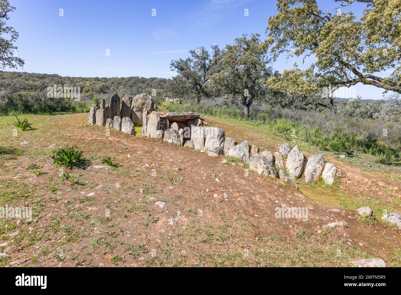 Monolite numero 4, noto come de la Encina, che fa parte del complesso dolmen di Gabrieles, nel comune di Valverde del Camino, provincia di Huelva, e. Foto Stock