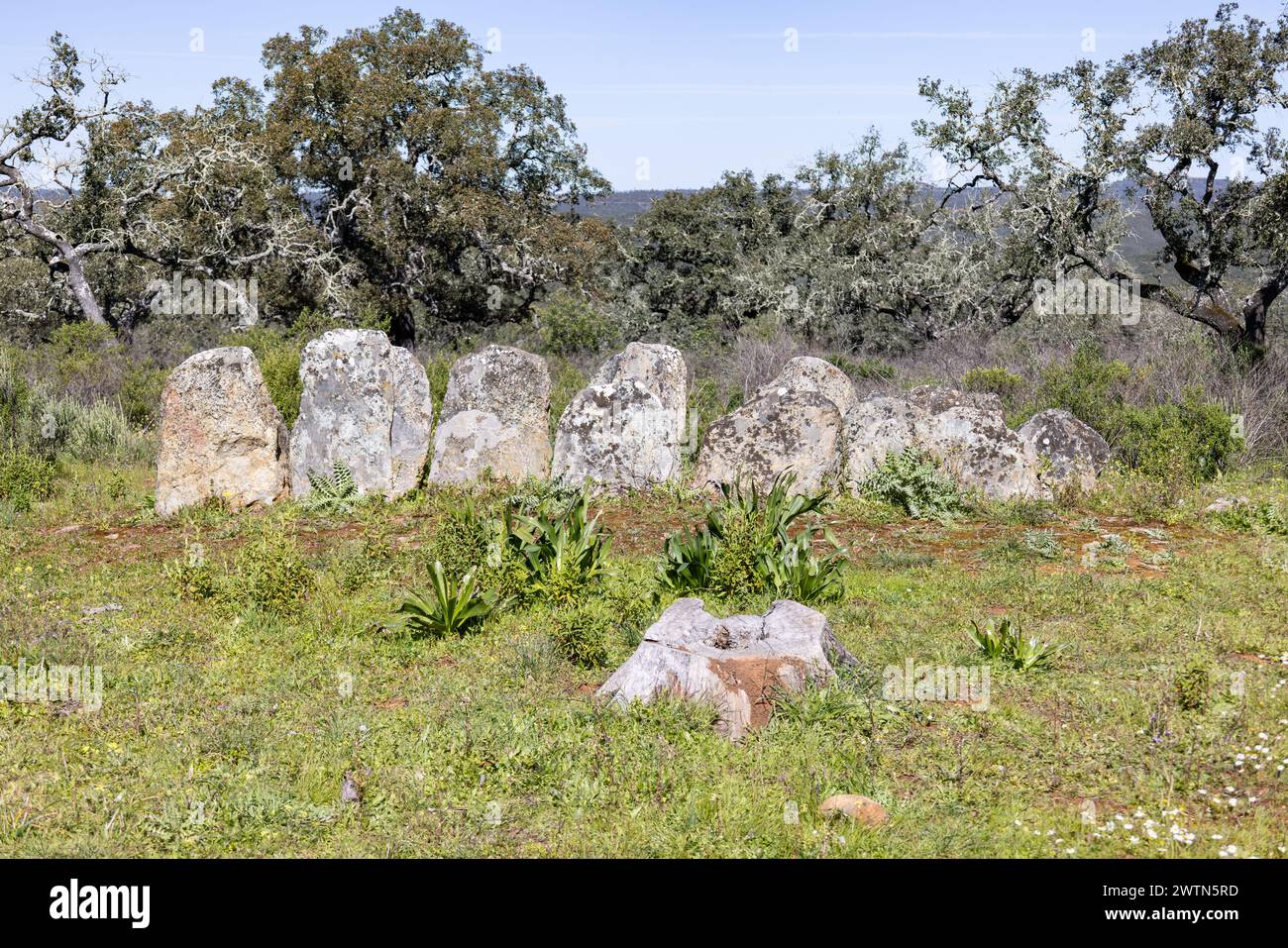 Monolite numero 3, che fa parte del complesso dolmen di Gabrieles, nel comune di Valverde del Camino, provincia di Huelva, Andalusia, Spagna Foto Stock