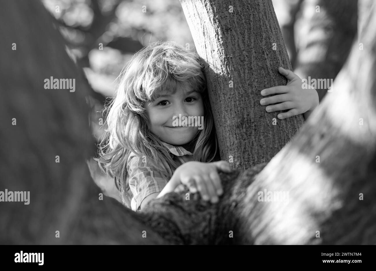 Figlio su un ramo ad albero. Arrampicata per bambini nel parco attività avventura. Assicurazione bambini. Ragazzino che affronta sfida cercando di scalare un albero. Foto Stock